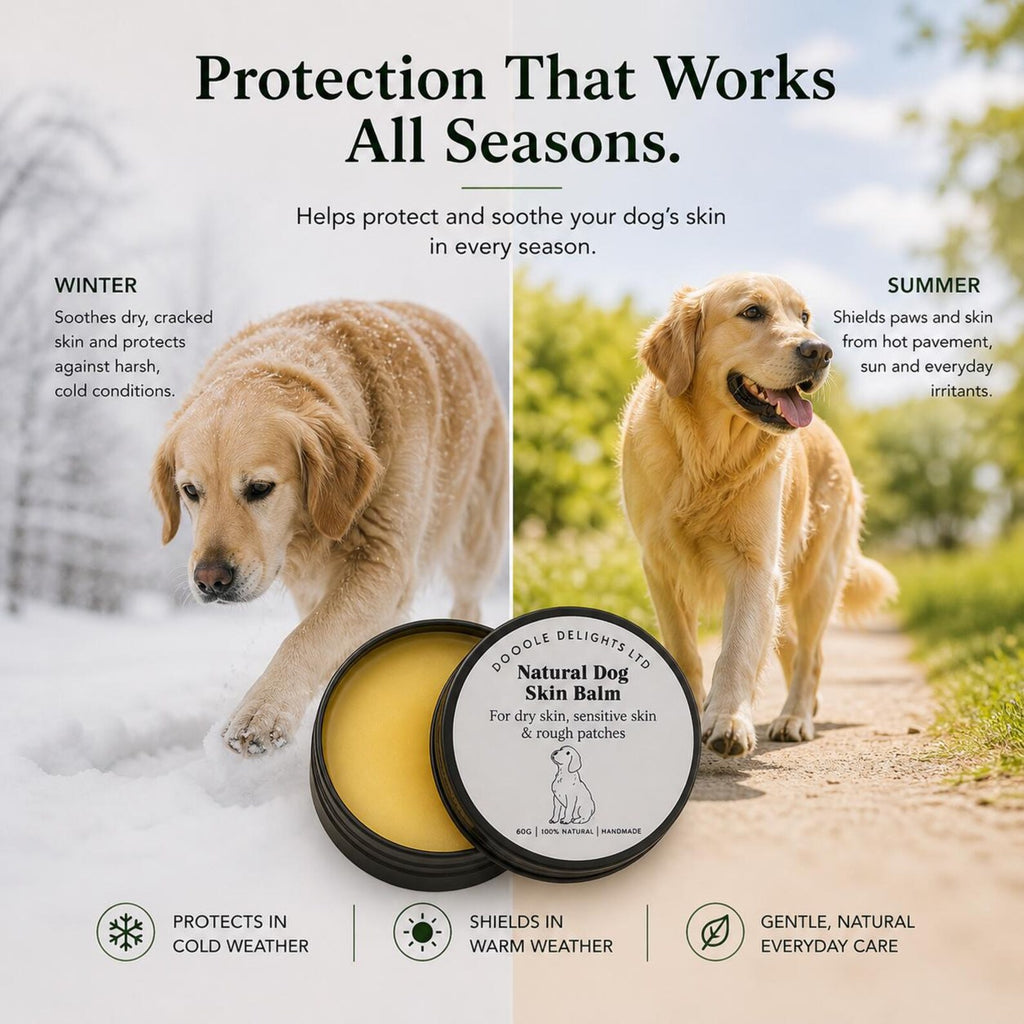 Natural Dog Skin Balm – Itchy & Sensitive Skin Relief for Paws, Nose & Dry Patches