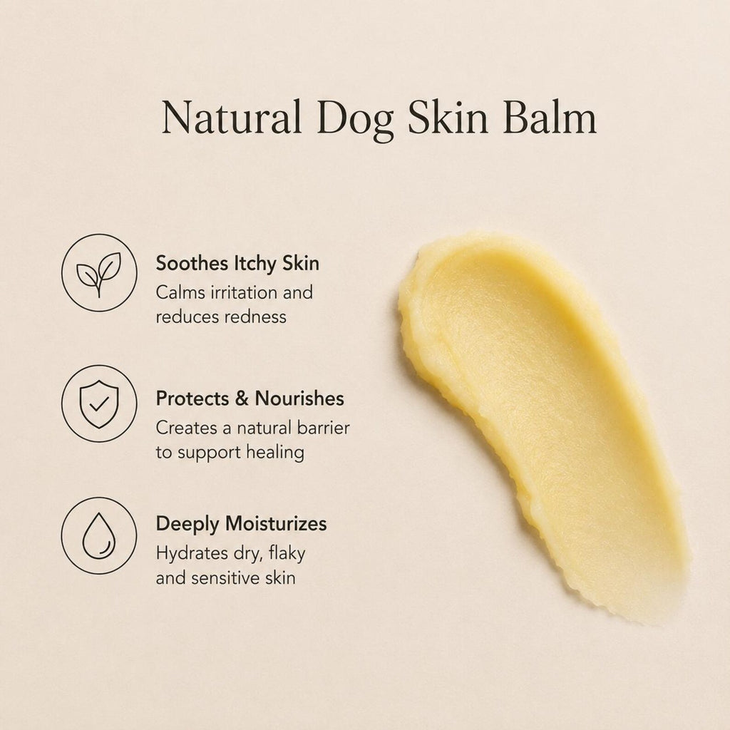 Natural Dog Skin Balm – Itchy & Sensitive Skin Relief for Paws, Nose & Dry Patches